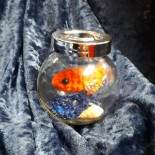 Goldfish